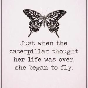 Meet your Posher, Dena